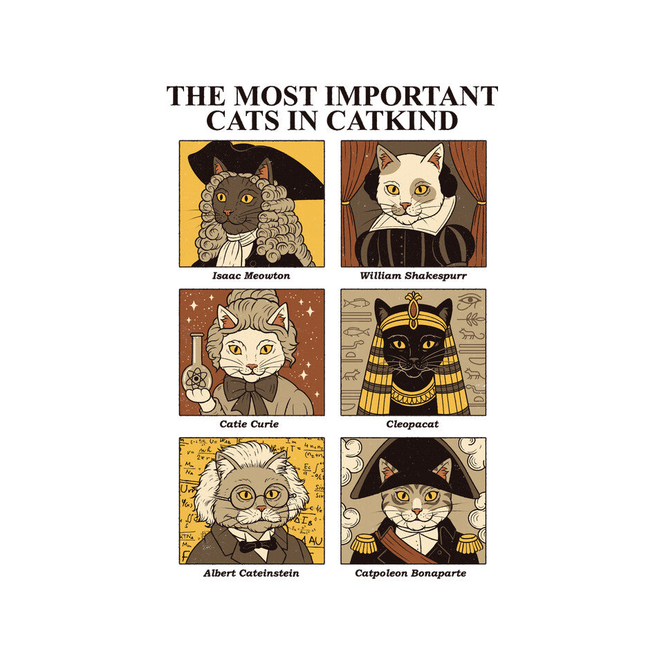 Cats In Catkind