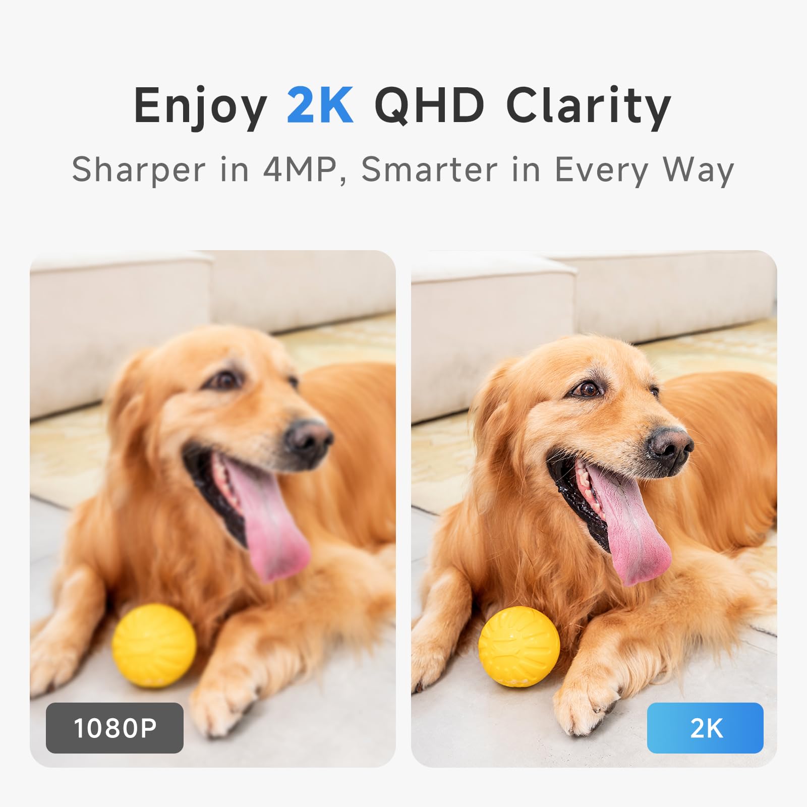 Noorio Security Camera 2K, Baby Monitor Dog Camera 360-degree for Home Security/Smart Motion Tracking, Phone App, IR Night Vision, Siren, Compatible with Alexa, 2-Way Audio, CS201
