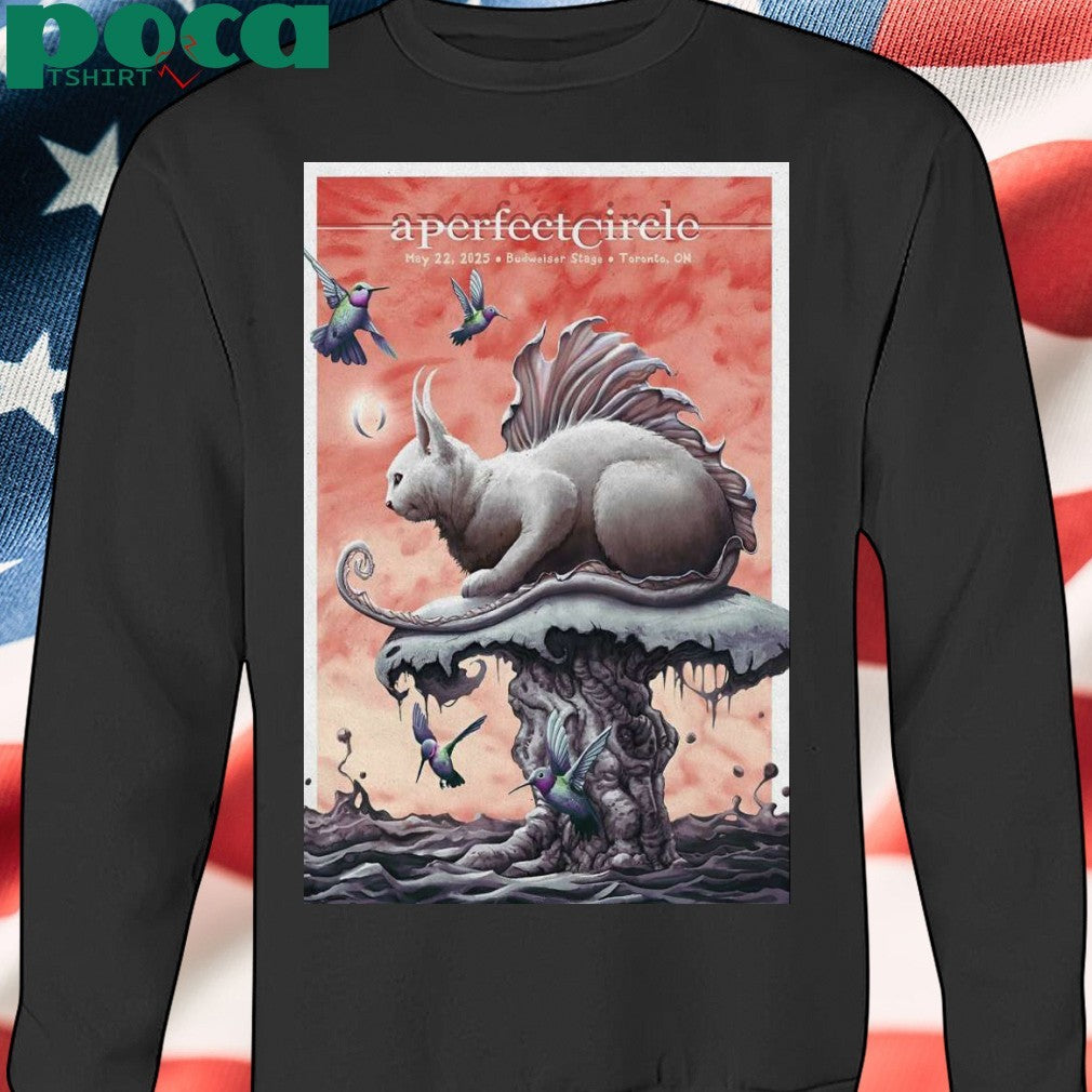 A Perfect Circle On May 22, 2025 In Toronto, ON Tour Poster shirt