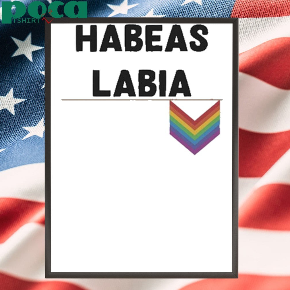 Big Beaver Energy Habeas Labia Pride Shirt