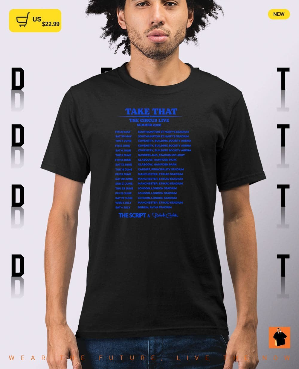Blue 25th Anniversary Tour 2026 Concert Schedule shirt