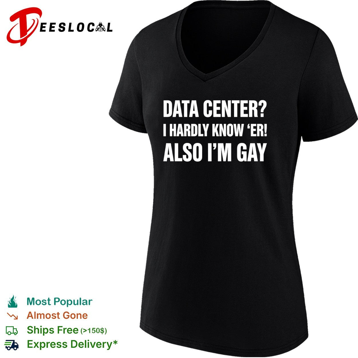 Data center I hardly know er also Im gay text shirt