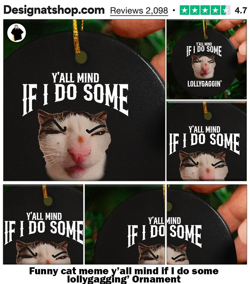 Funny cat meme y’all mind if I do some lollygagging’ shirt