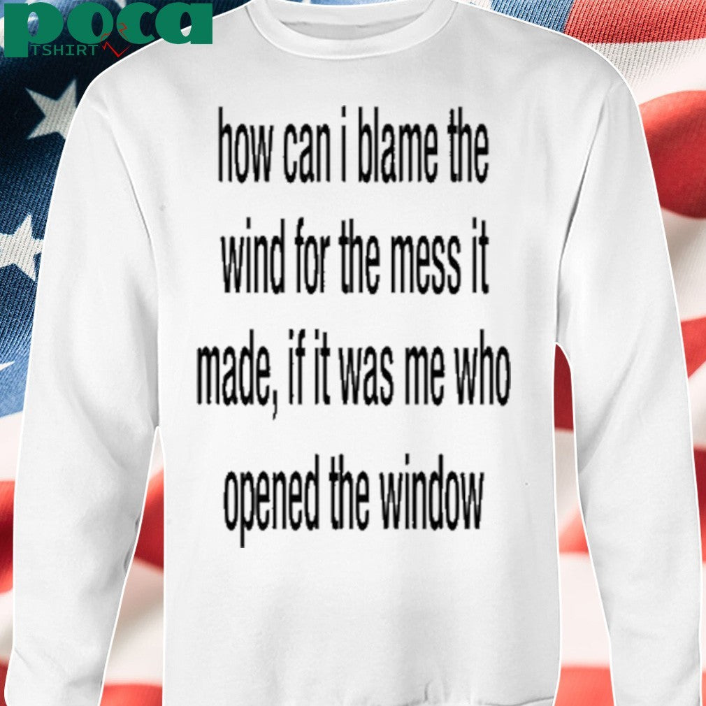 How Can I Blame The Wind For The Mess It Made shirt