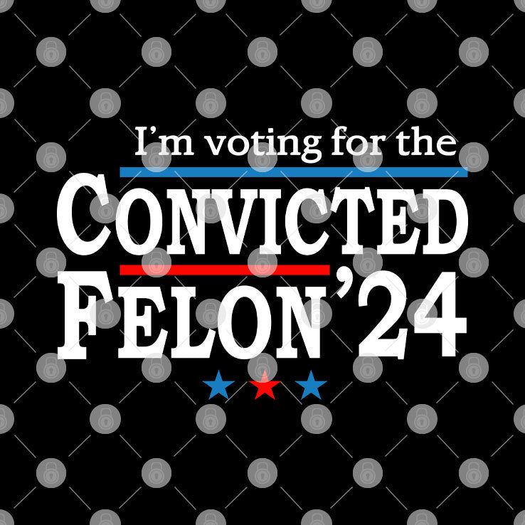 I’m Voting For The Convicted Felon Trump 24 T Shirt