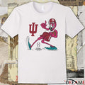2026 CFP National Championship Indiana Flamingo Logos hoodie and t-shirt