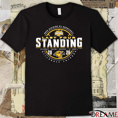 2026 OHSAA Boys Basketball D7 Last Four Standing Hillsdale Falcons t-shirt