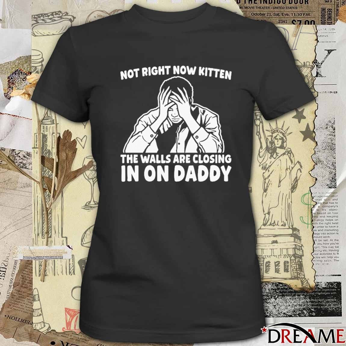 Not Right Now Kitten The Walls Are Closing In On Daddy t-shirt