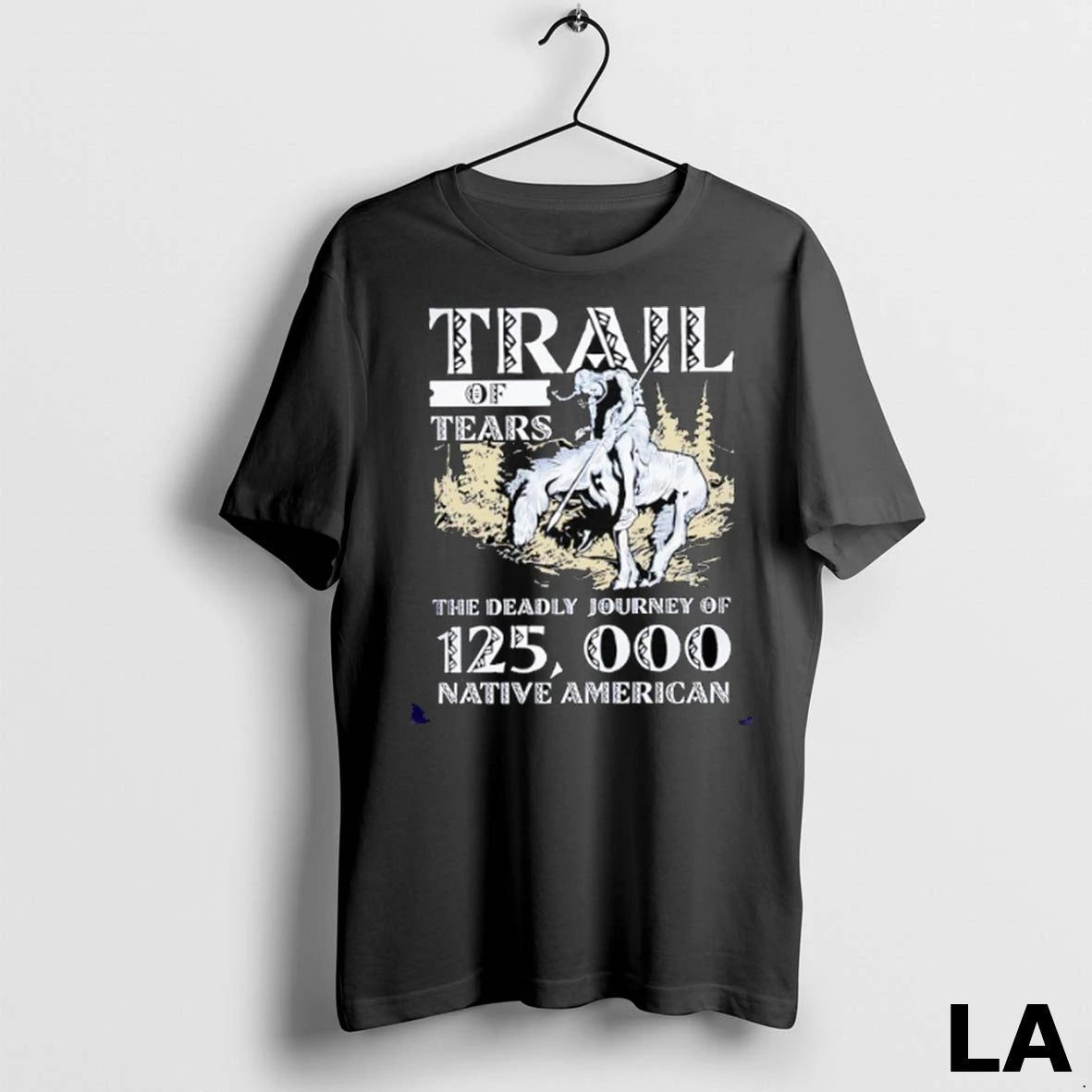 Original Trail Of Tears The Deadly Journey Of 125000 Native American