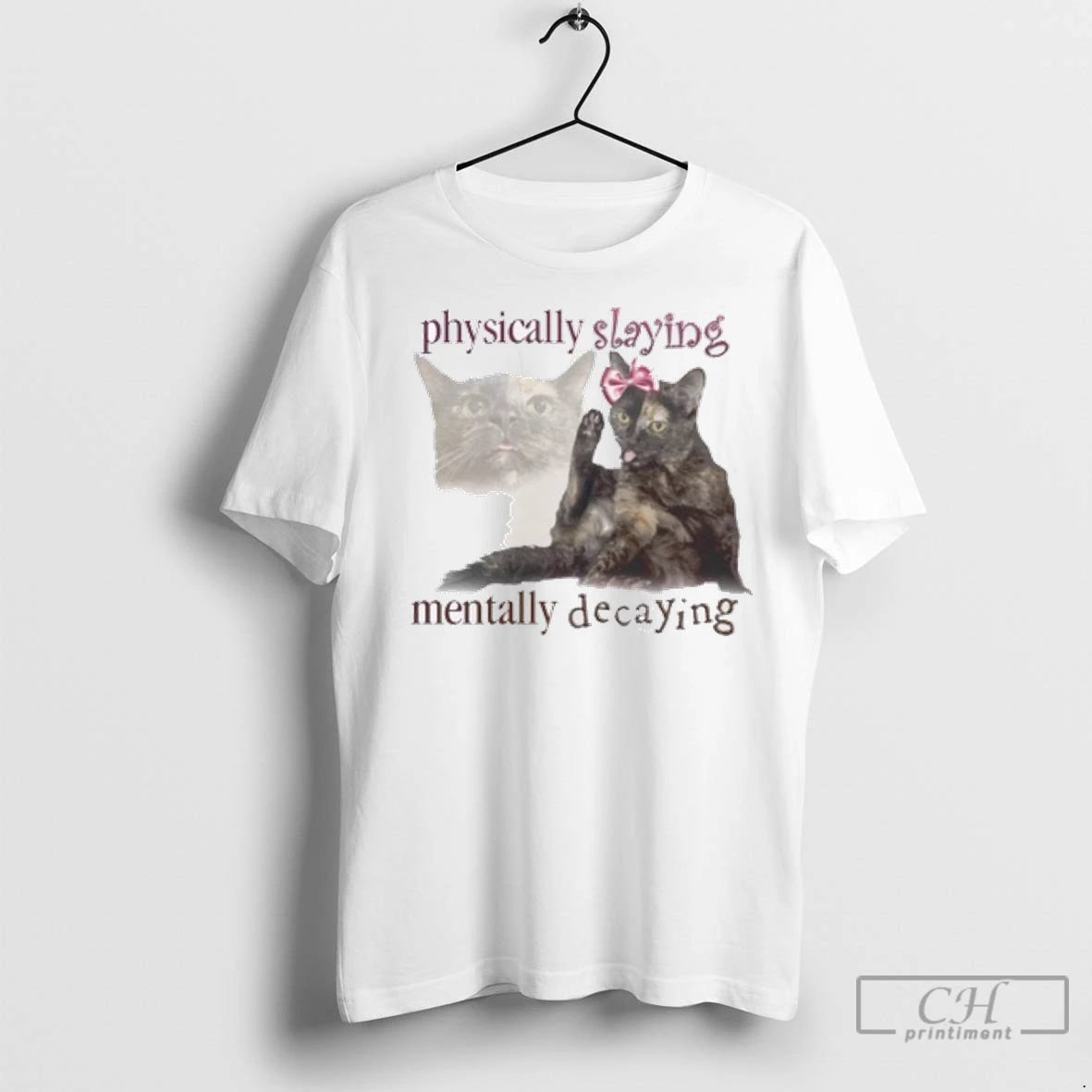 Premium Cat Physically Slaying Mentally Decaying