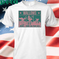 Wallows Info Wallows Model & More Usa Tour 2025 shirt