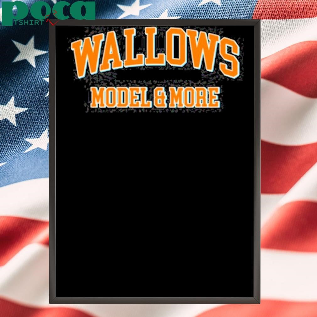Wallows Model & More T Shirt