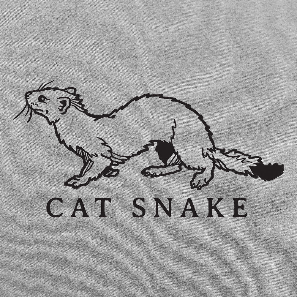 Cat Snake Long Weasel Ferret