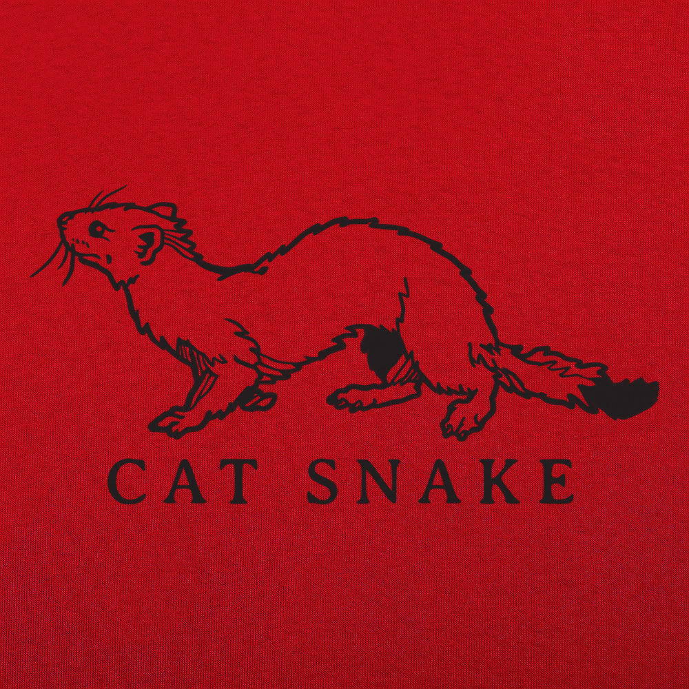 Cat Snake Long Weasel Ferret