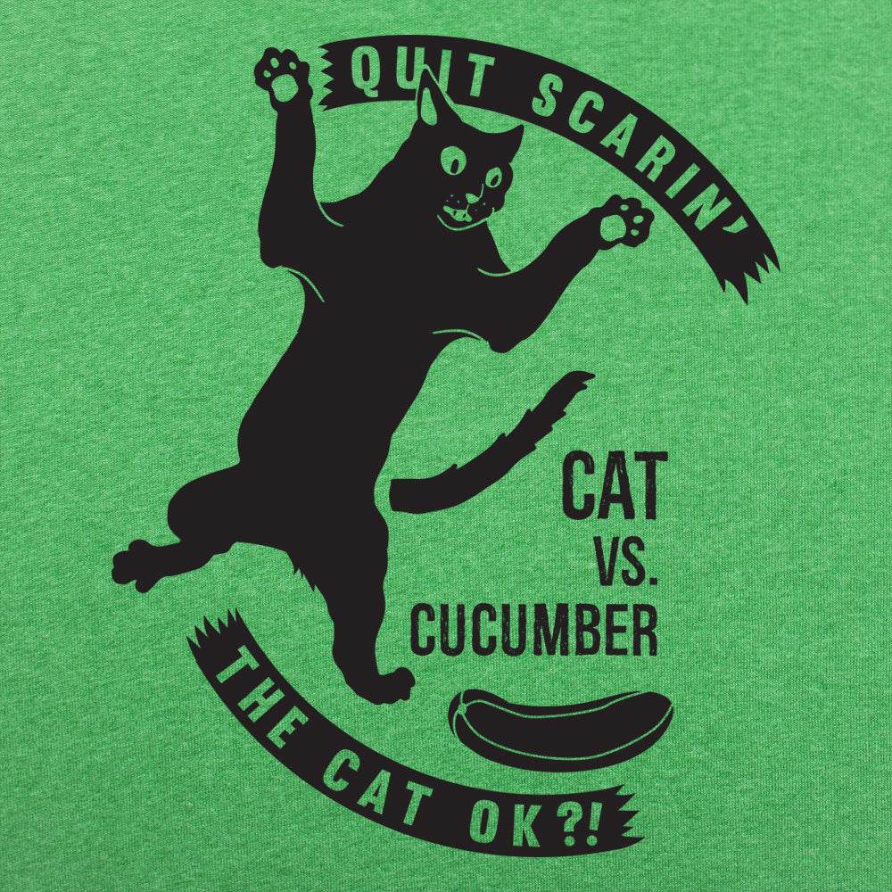 Cat Versus Cucumber, Startled Cat Meme
