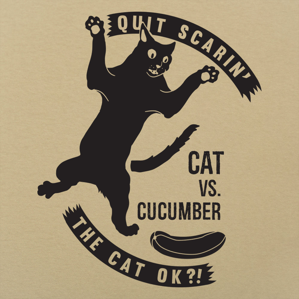 Cat Versus Cucumber, Startled Cat Meme