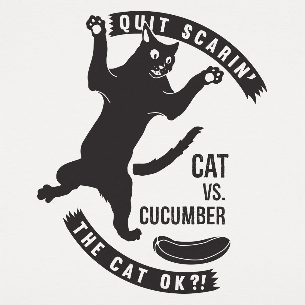Cat Versus Cucumber, Startled Cat Meme