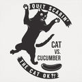 Cat Versus Cucumber, Startled Cat Meme