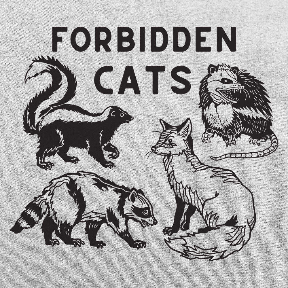 Forbidden Cats Skunk Fox Raccoon and Opossum