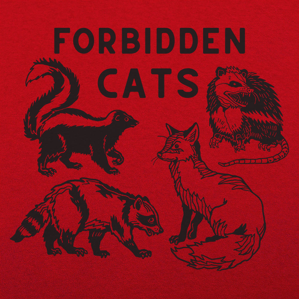 Forbidden Cats Skunk Fox Raccoon and Opossum