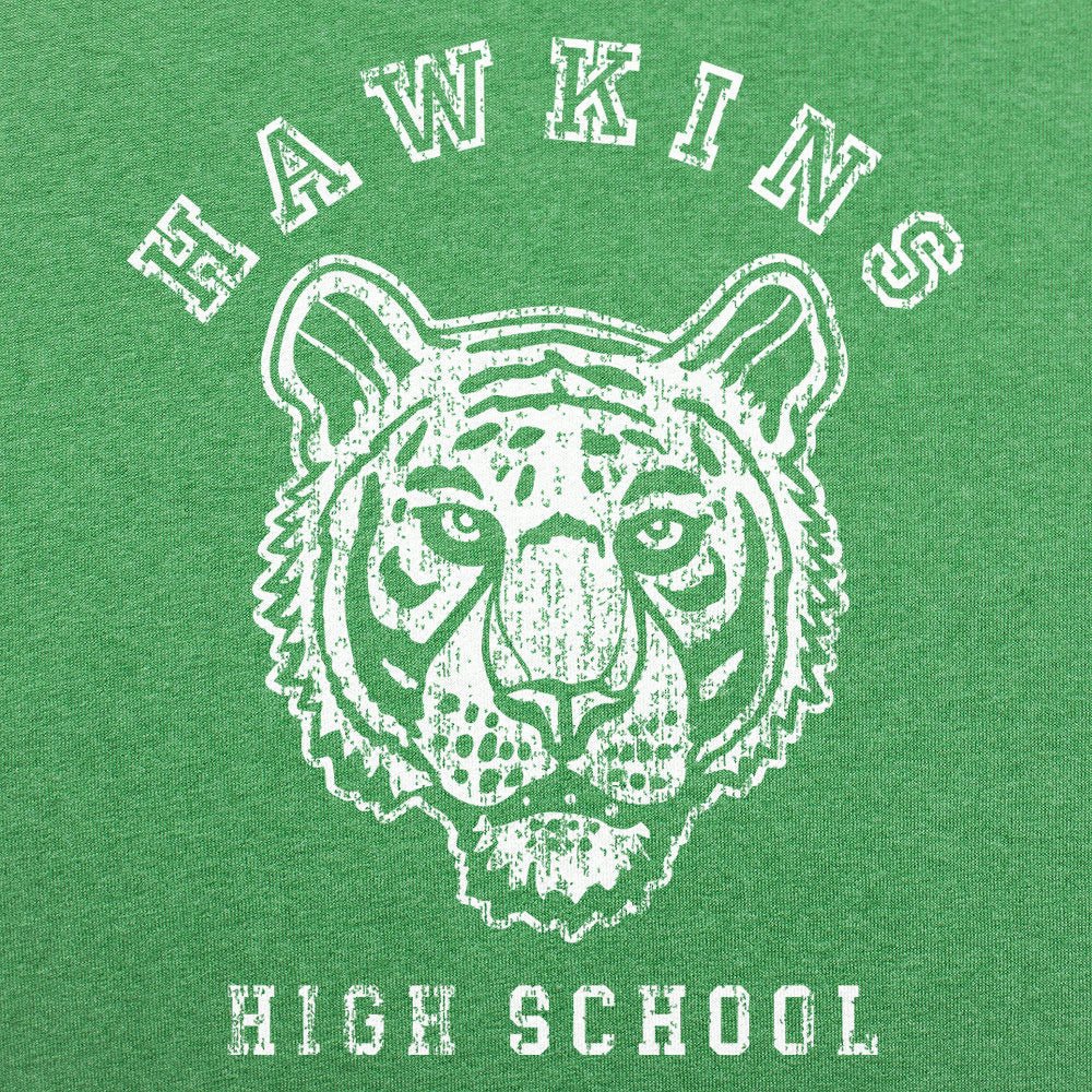 Hawkins High School Tigers Mascot