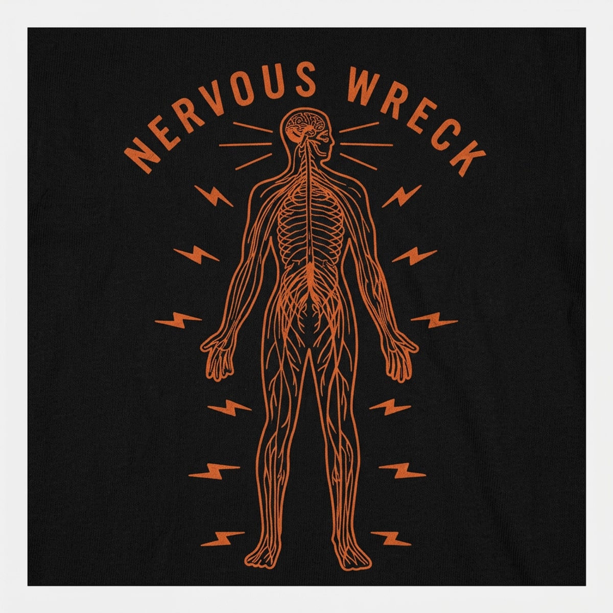 Nervous Wreck Human Nervous System Anatomy Diagram