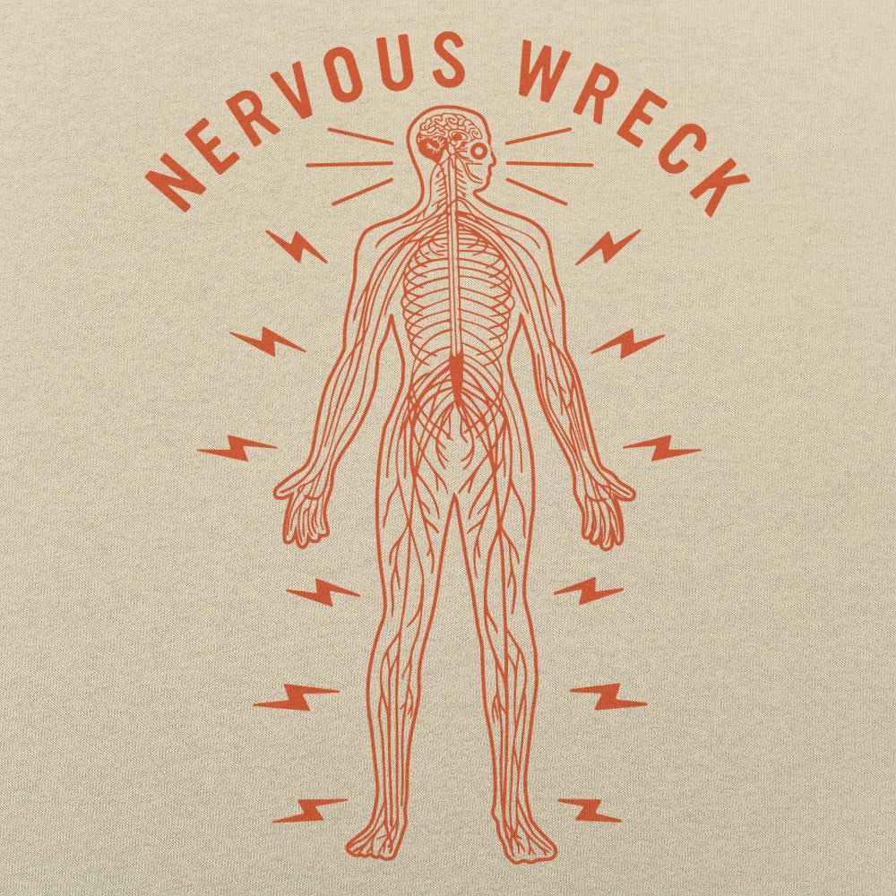 Nervous Wreck Human Nervous System Anatomy Diagram