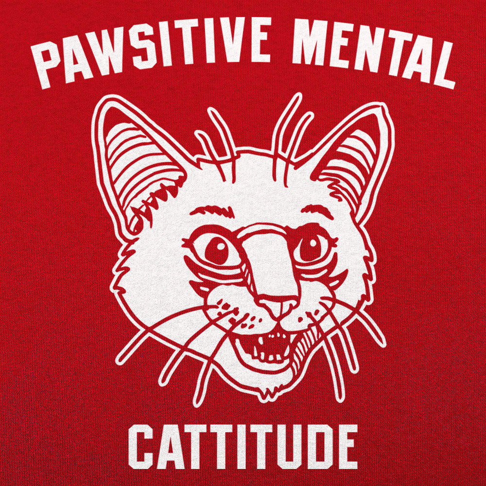 Pawsitive Mental Cattitude Wild Eyed Cat Face