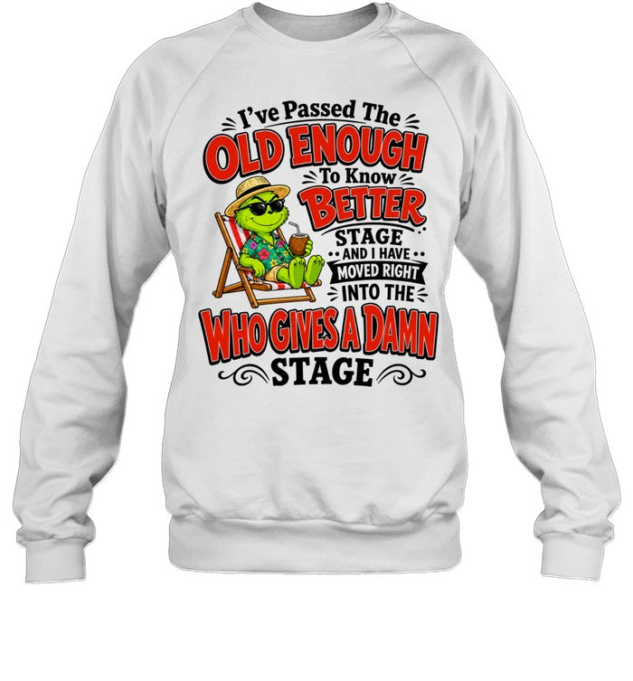 The Grinch I have passed the old enough to know better moved into who gives a damn Shirt