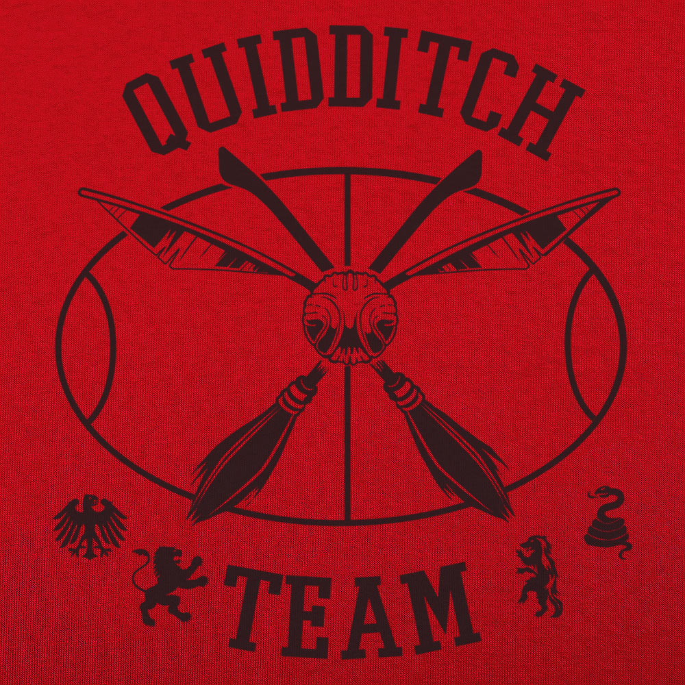Quidditch Team Crossed Broomsticks Emblem
