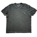 Men's Gray V-Neck T-Shirt Lions Crest