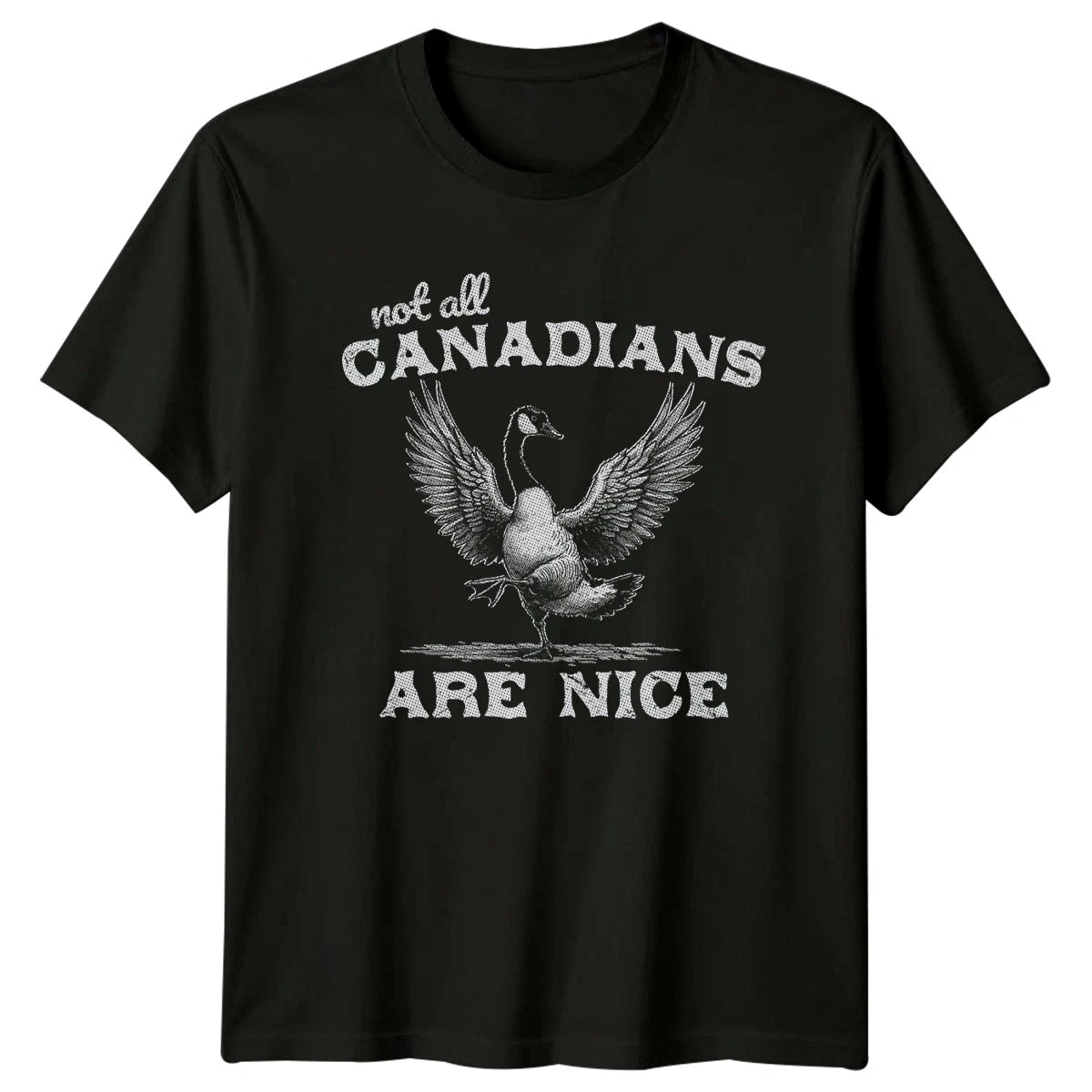 Not All Canadians Are Nice T-Shirt Canadian Goose Humor Canada