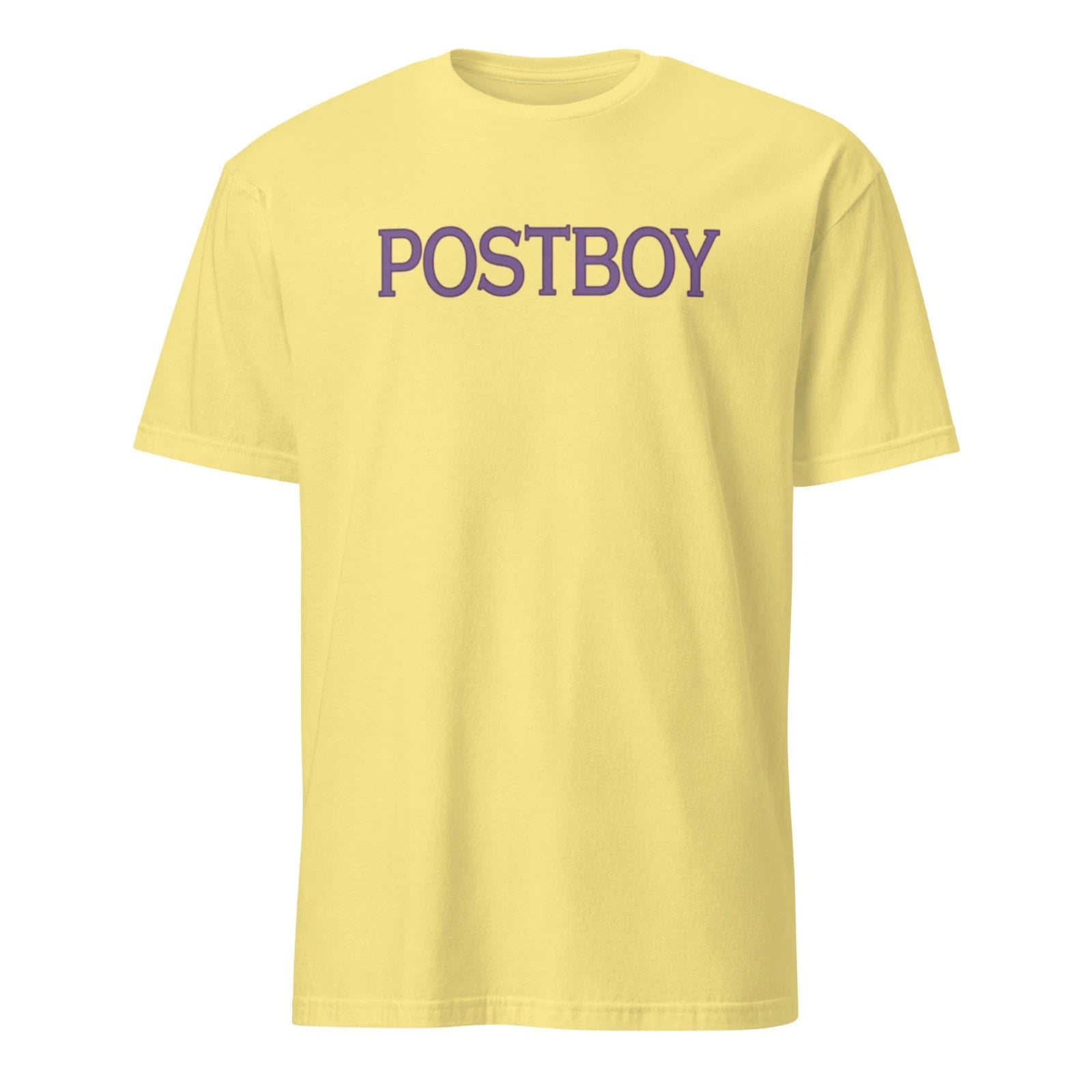 Piccolo Postboy T‑Shirt Namekian Driving Tee anime tshirt