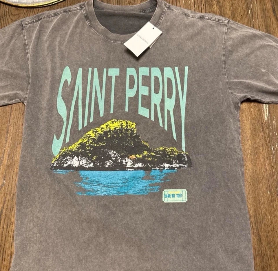 NWT Saint Perry One Way Ticket Island Graphic Tee Mens Charcoal Grey Oversized