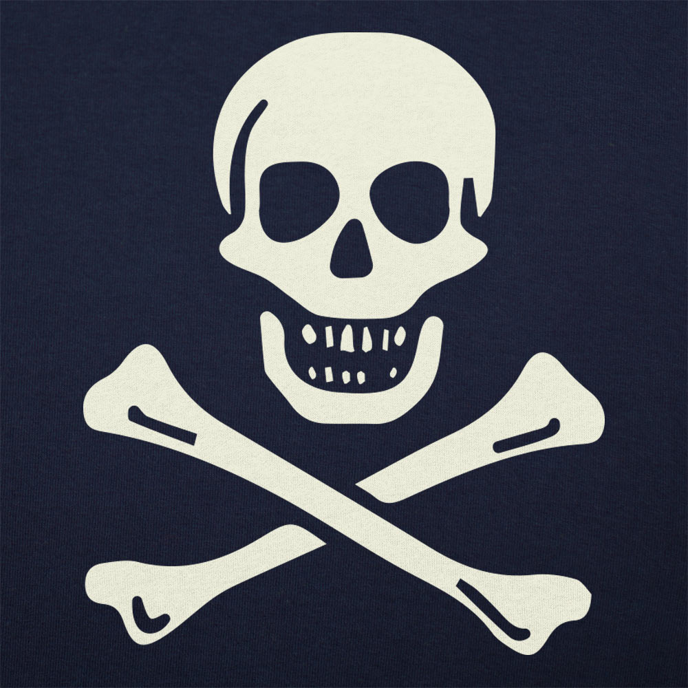 Skull n' Crossbones Jolly Roger Pirate Flag