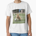cat playing football by pig2u