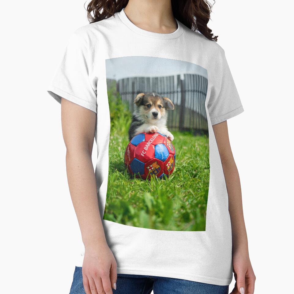 Dog on soccer ball by vexifyon1