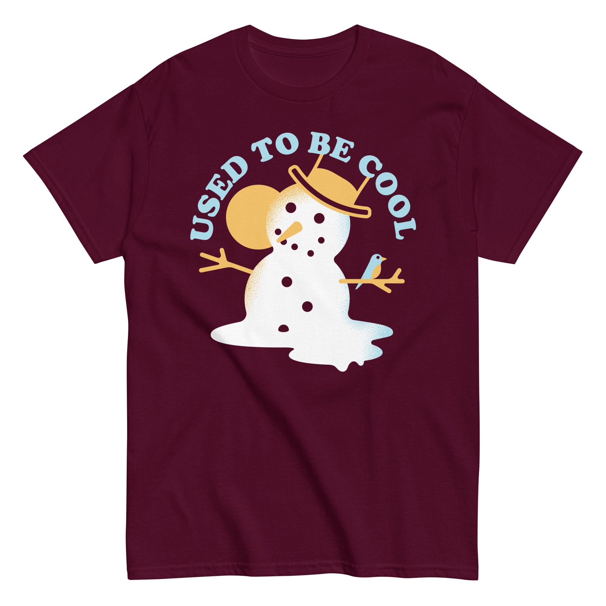 Used To Be Cool Men's Classic Tee