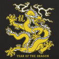 Year of the Dragon - Chinese Zodiac Dragon Design
