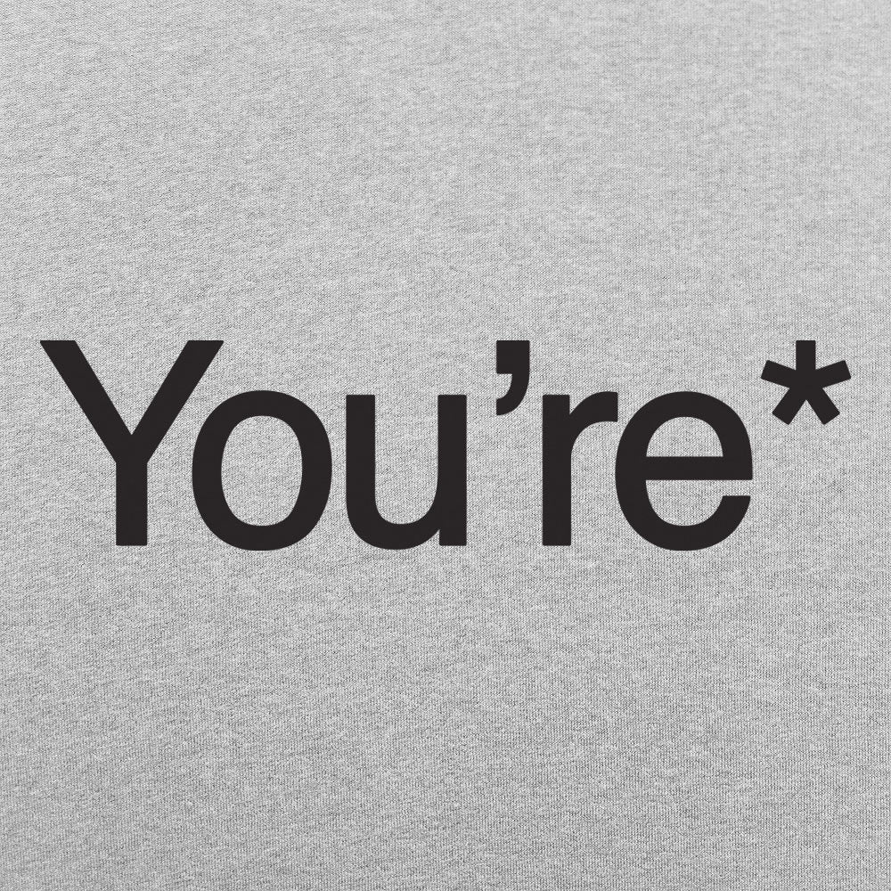 You're* Grammar Correction Meme