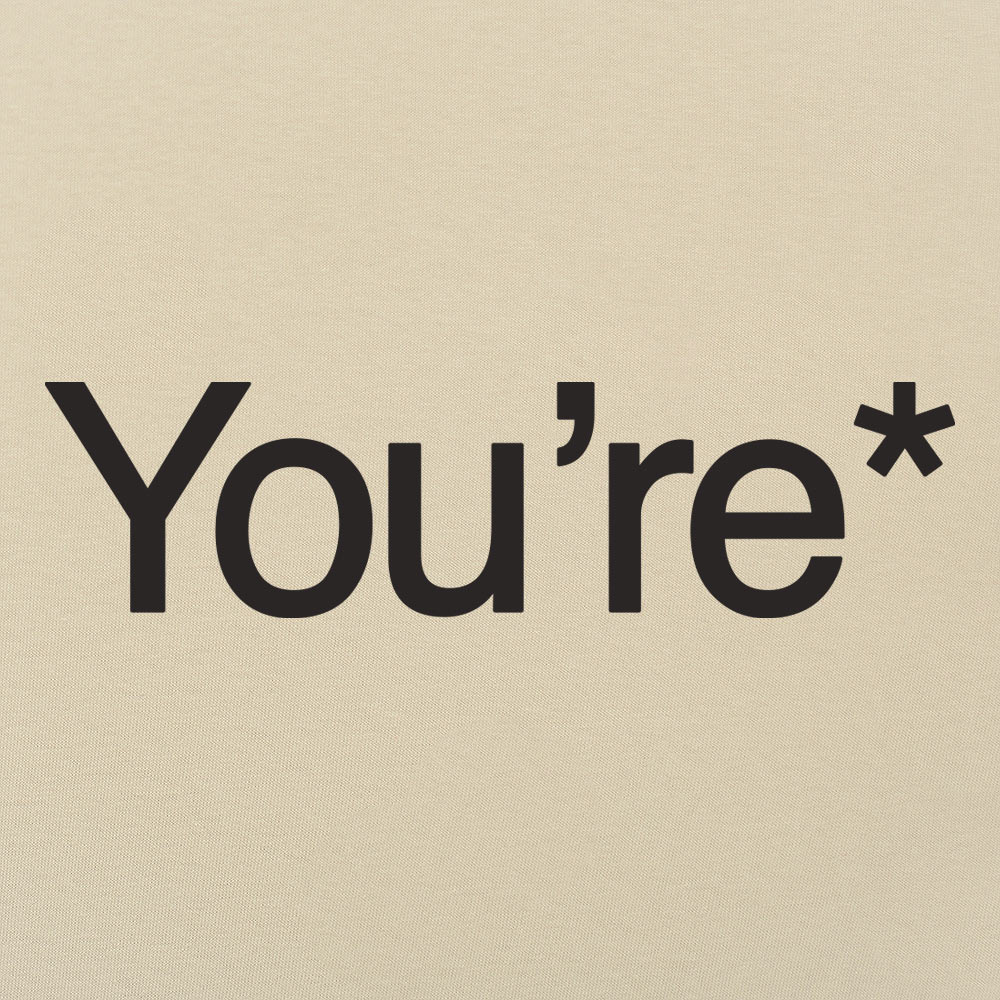You're* Grammar Correction Meme