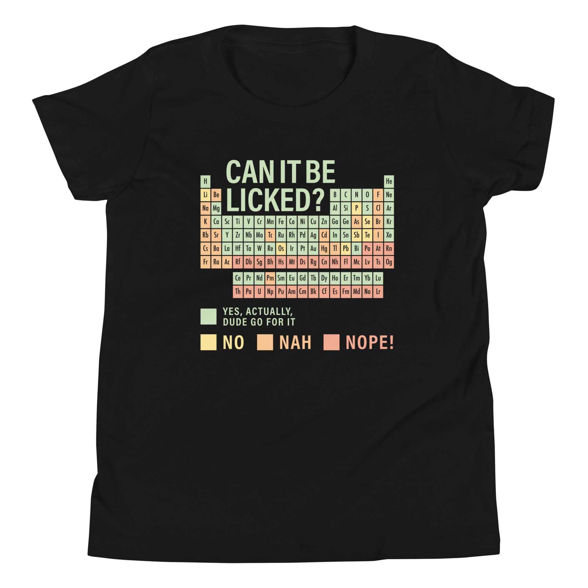 Can It Be Licked? Kid's Youth Tee